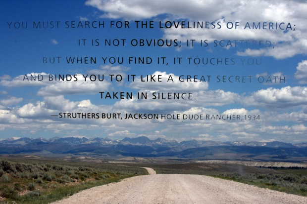 Loveliness of America collage