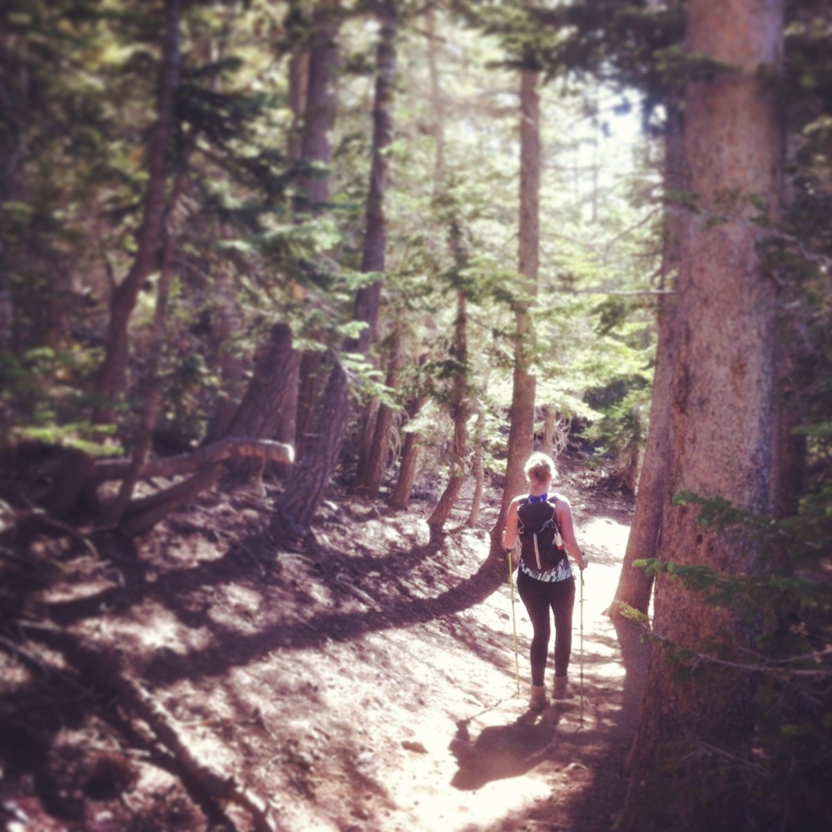 photo of a woman hiking in the forest, under trees